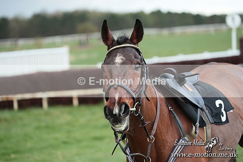 PtP 230324 914 - Tedworth Hunt PtP Larkhill Raccourse 23rd March 2024