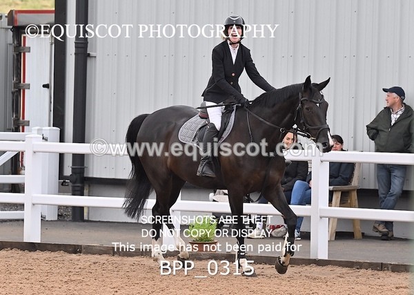 BPP_0315 - CLASS 26 SUN 5 Year Old Non Qualifier