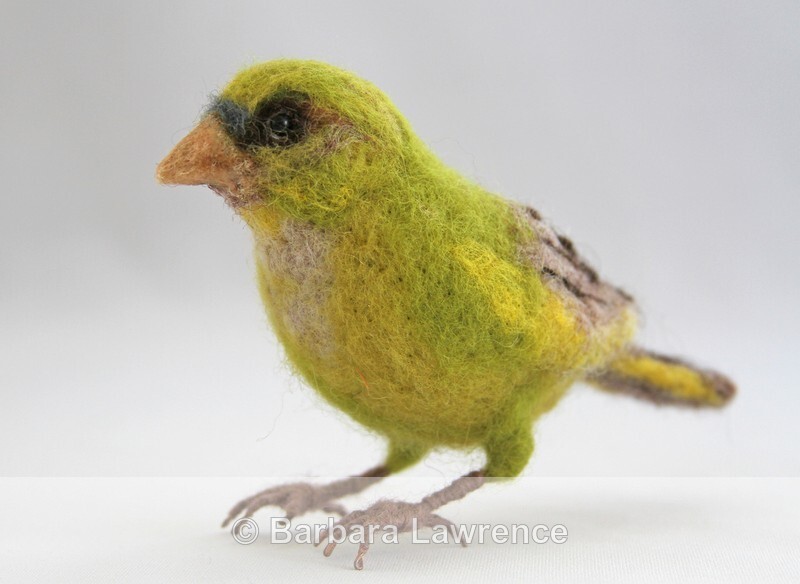 Green Finch. Photo 1. - Gallery
