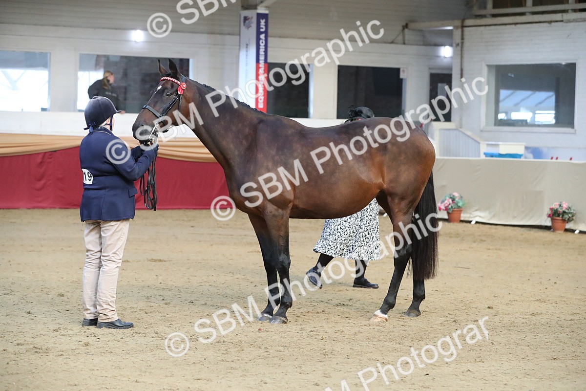 SBM_00287 - Class 1a - Area IH Diamond