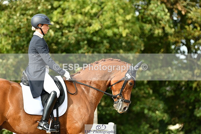 230912A-162755-01778 - Cls 18 FEI PSG