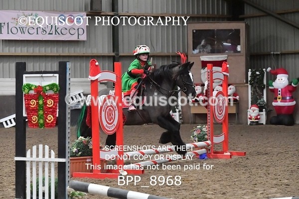 BPP_8968 - CLASS 1 Beginners Show Jumping