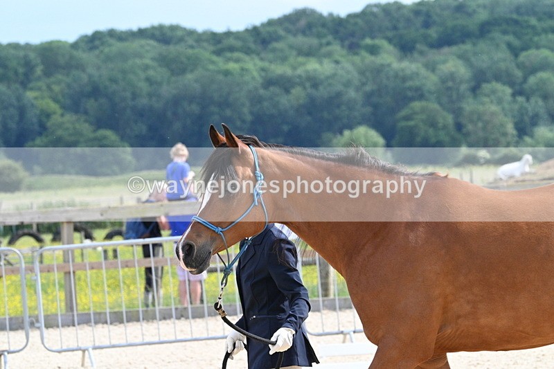 WJ7_8219 - Time 16:10 to 16:25