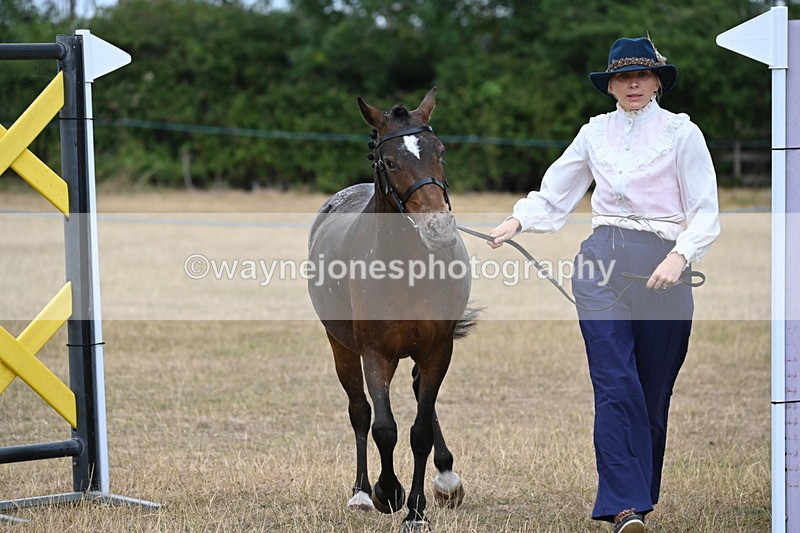WJ6_8063 - Class 10 Coloured in Hand