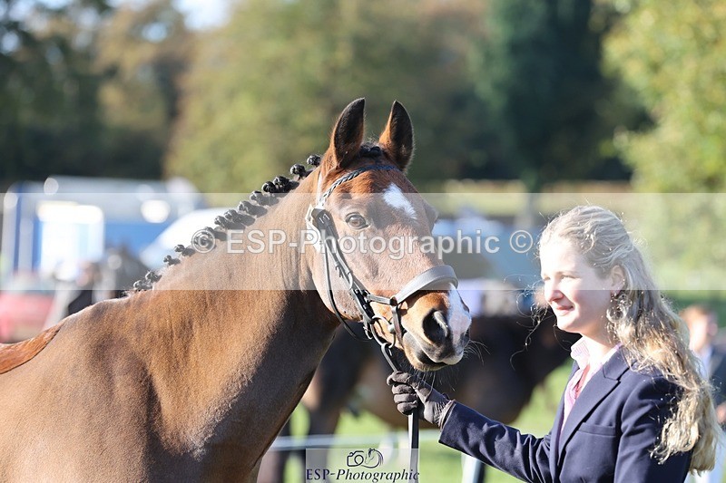 241027-094001-15431 - 450-Erin.Dovey-MONEYHILLS.PAGEANT