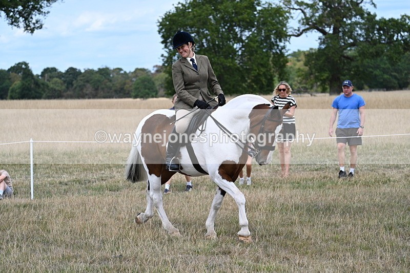 WJ7_4625 - Class 12 Ridden Cob