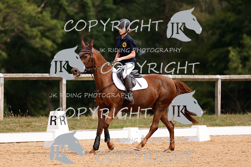_R6A2500 - Dressage Morning
