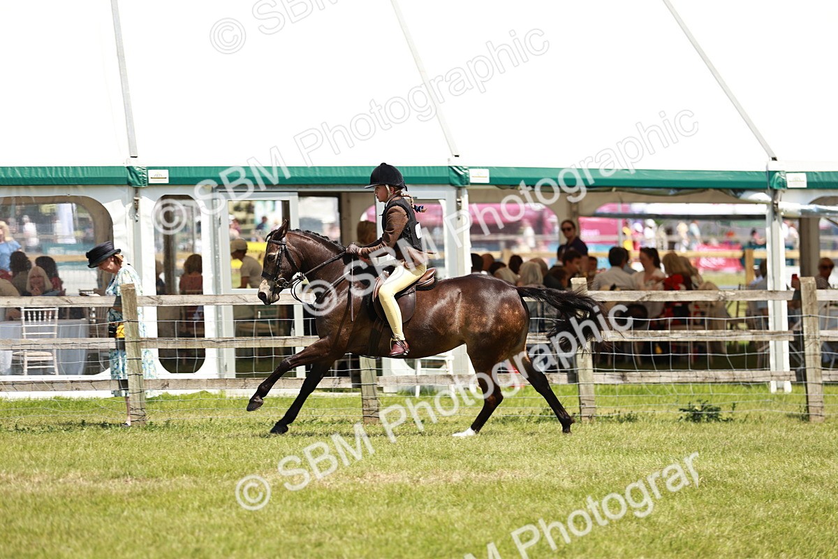 SBM_15802 - Class 108-109 - BSPS LIHS Open Gradle & Nursery Stakes