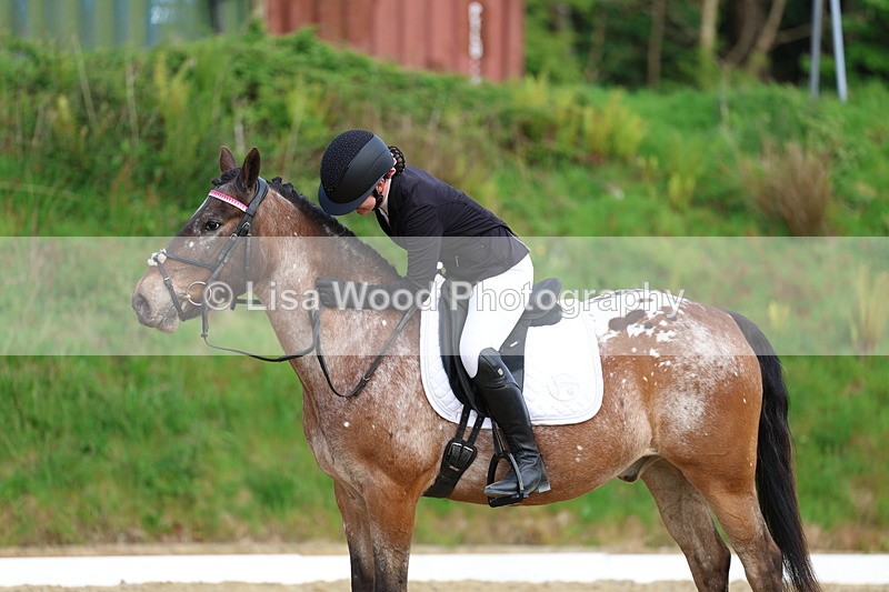 3E7A3617 - Class 2: INTRO B- INTRO 3 2024