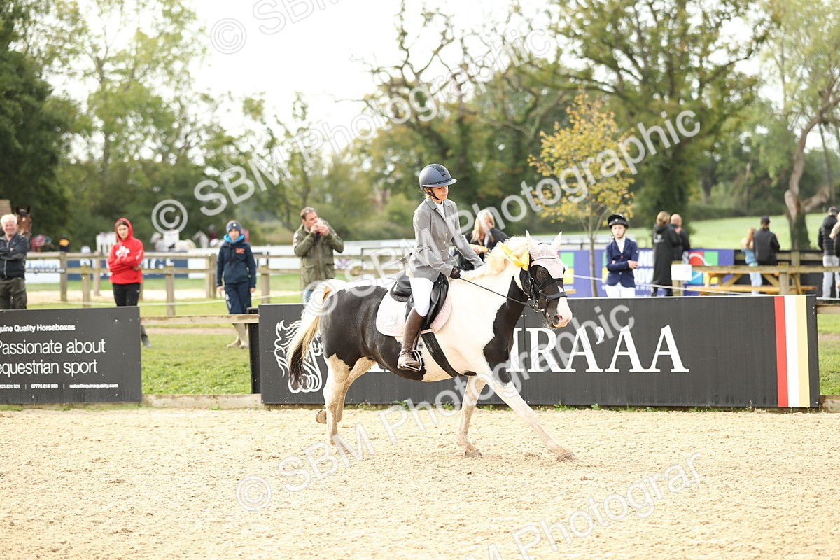 SBM_56229 - J24 - Junior Horse 75cm Championship
