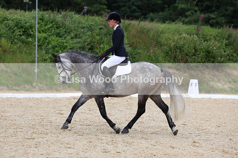 3E7A1727 - Class 2: Intro 2 2024 Section B