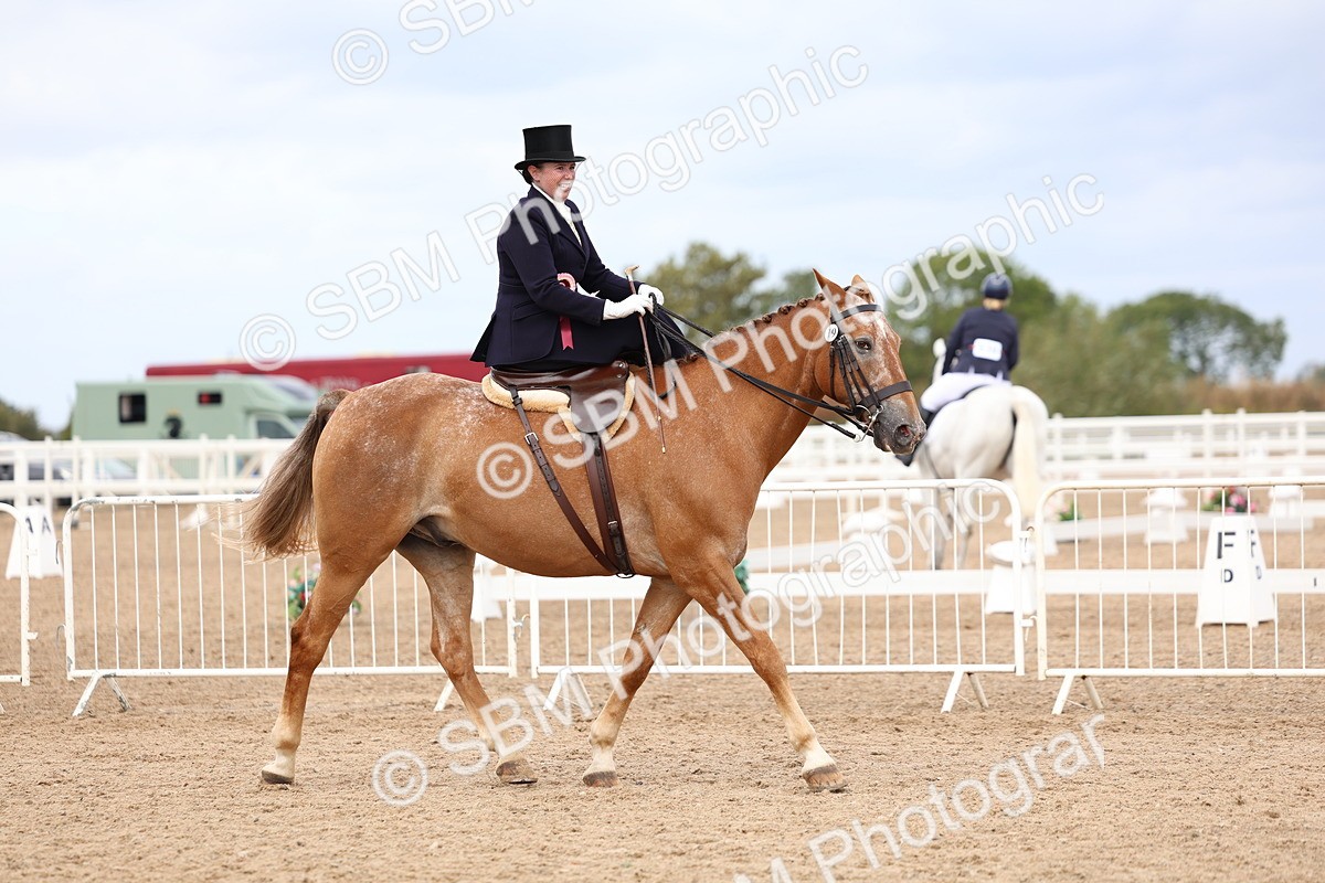 SBM_03493 - Class 24 - SSA Concours d'elegance (any age)