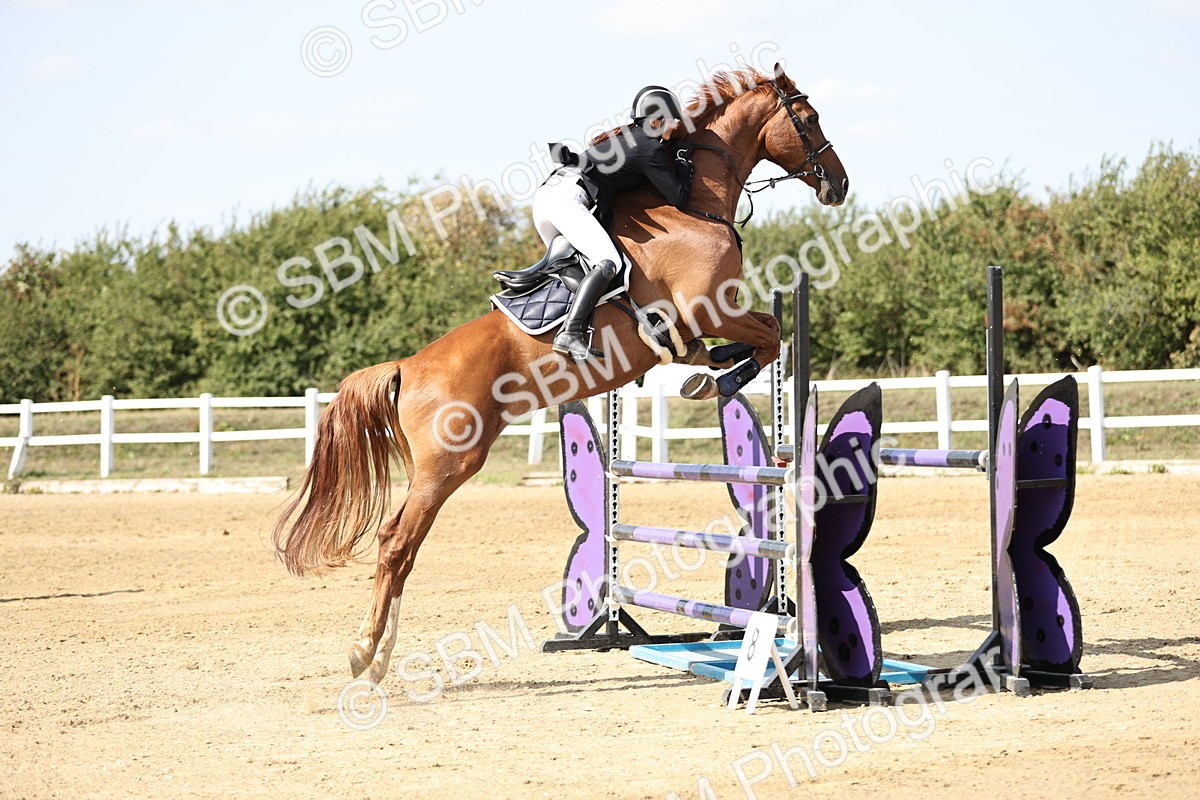 SBM_005190 - Class 6 = Senior Newcomers - 1.10m Open