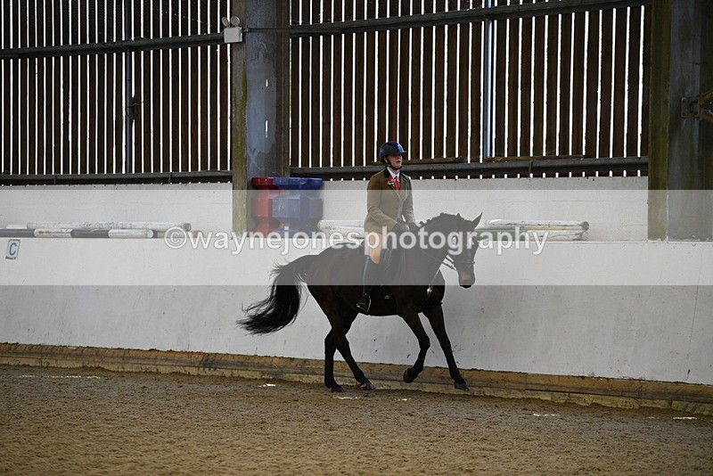 WJ5_6014 - Class 9 Ridden Veteran