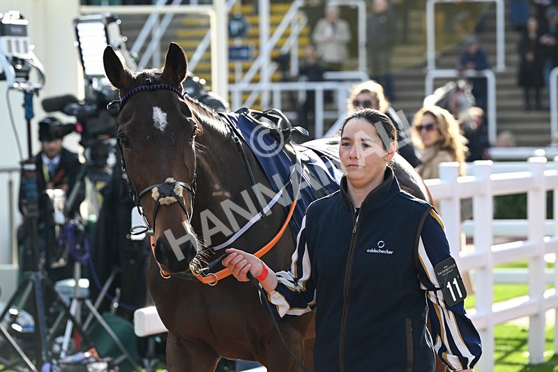 241025-Race 4-Pauls Dream-3657 - Race 4