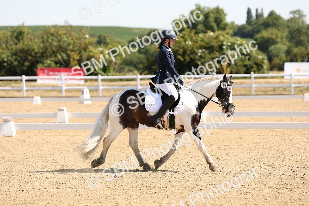 SBM_001031 - Intro 2