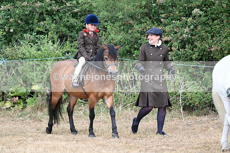 WJ7_6753 - Class 1 Lead Rein Pony