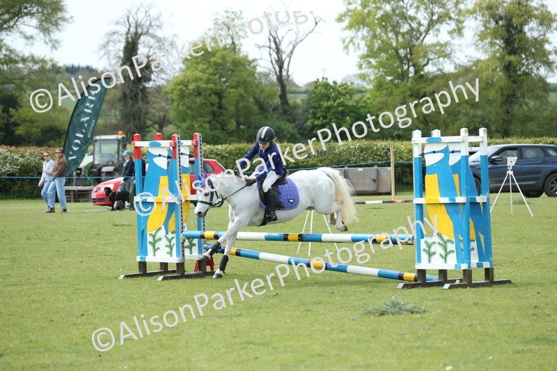 20260426-2109 - Class 15 - Absolute Novice 70cm