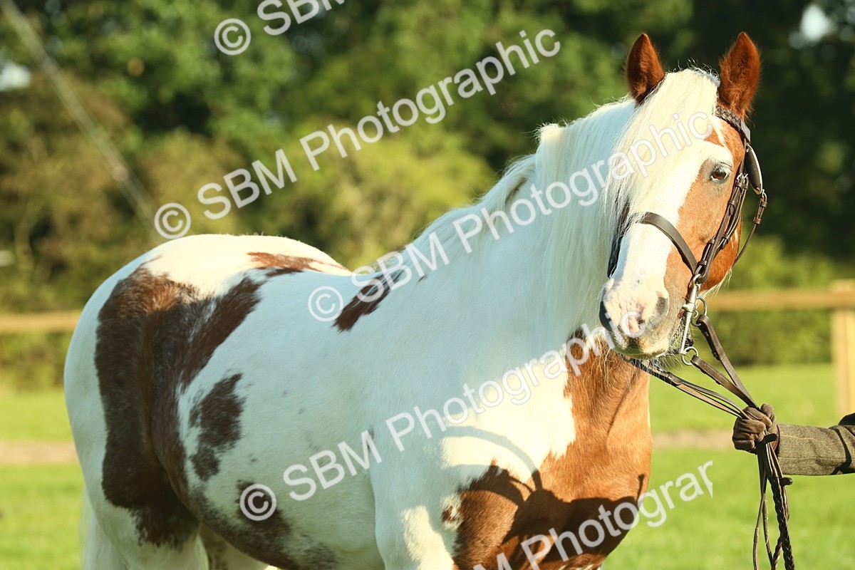 SBM_57496 - S37 - Starters In Hand Showing