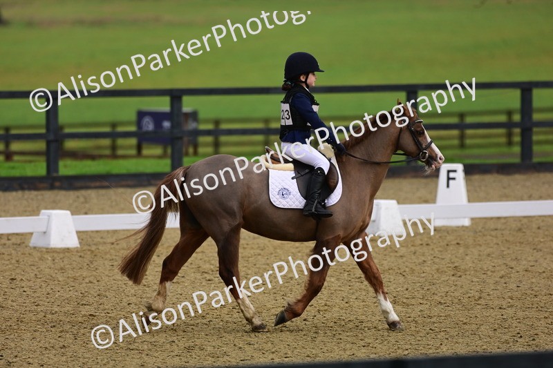 20260125-0662 - Class 9b - Walk Trot Unassisted