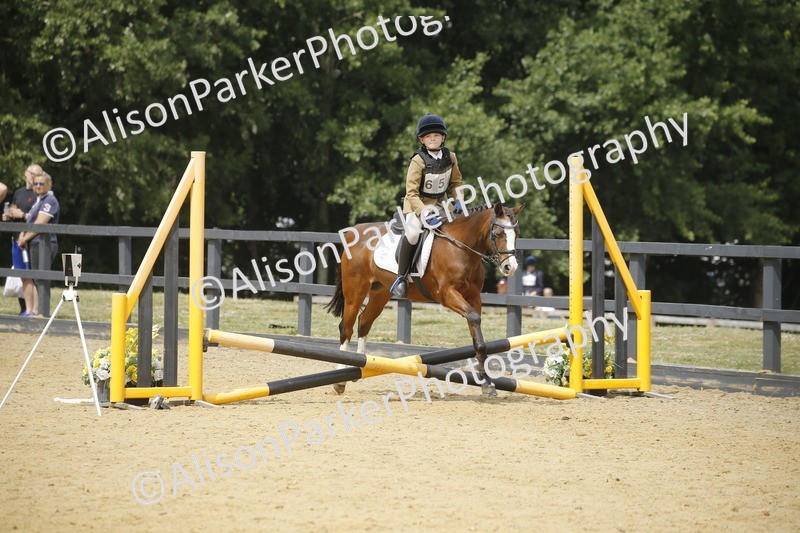 20250622-4762 - 50cm