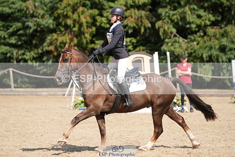 250824A-144528-38458 - 2133-Dolcie.Powell-Tresorya.Aled