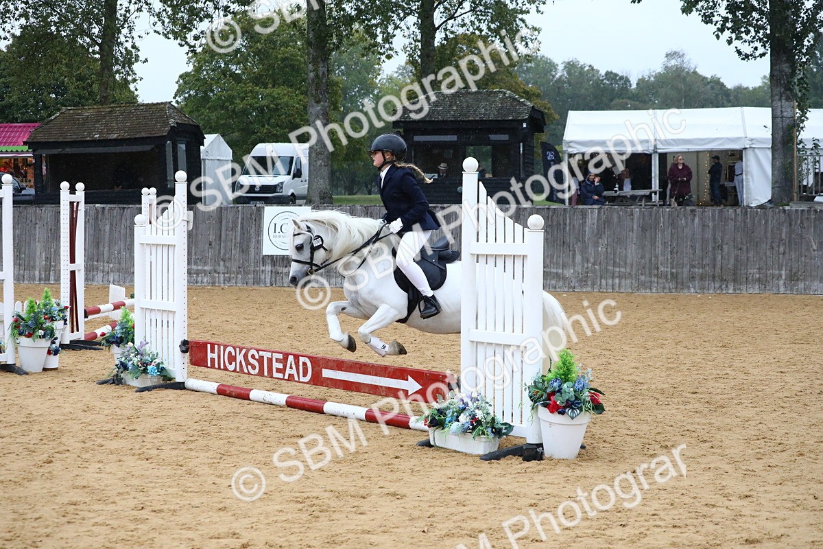 SBM_71443 - J4 - Mini Tour Junior Pony 45cm Championship