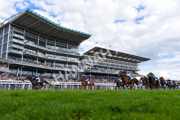 yr11062022r5-35 - Race 5 3.40pm The Pavers Foundation Catherine Memorial Sprint Stakes