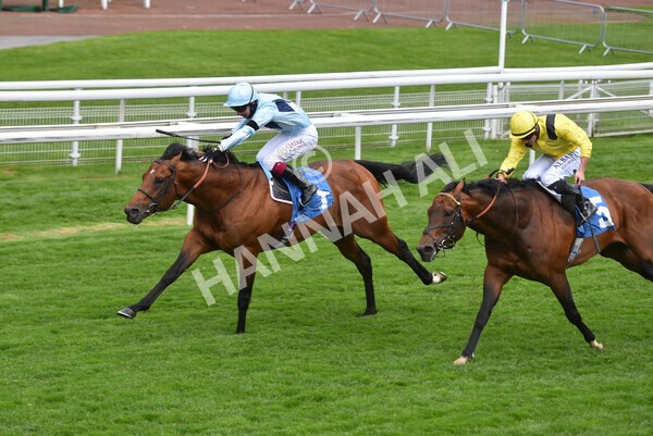 yr12052021r3-25 - Race 3 2.40pm Duke of York Clipper Logistics Stakes