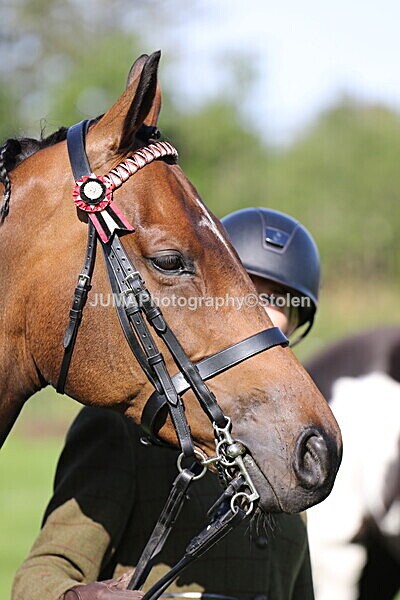 SIAL5839 - Ring 1 & 3