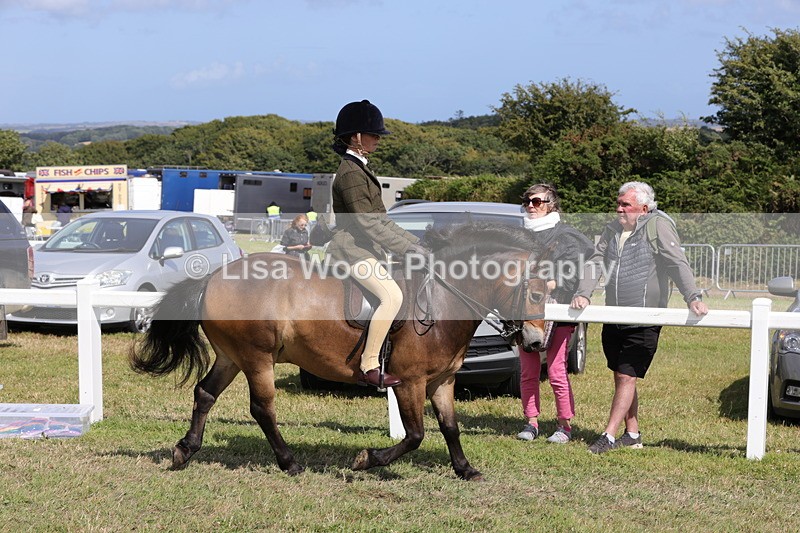 1X9A5574 - Class 39: NPS Dartmoor, Exmoor, Shetland