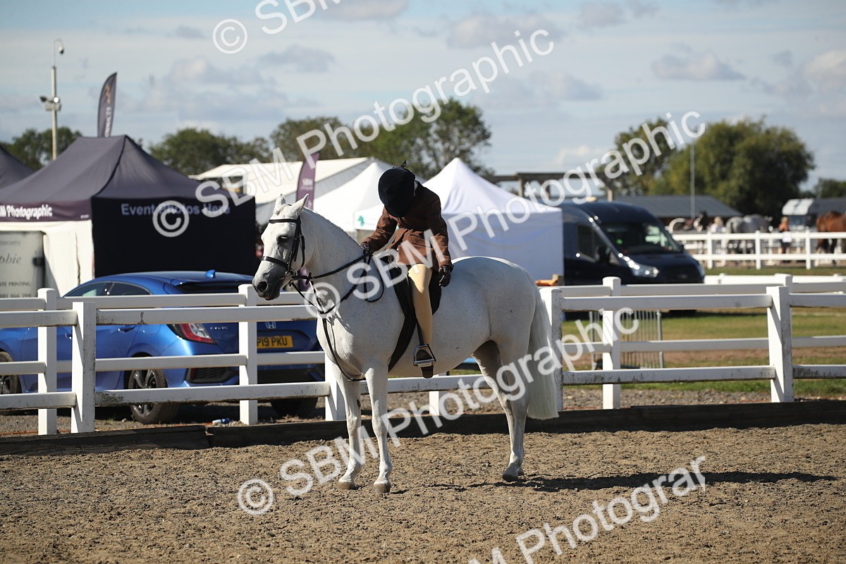 SBM_12761 - Class 504b - Junior Working Veteran - 40cm (20+)