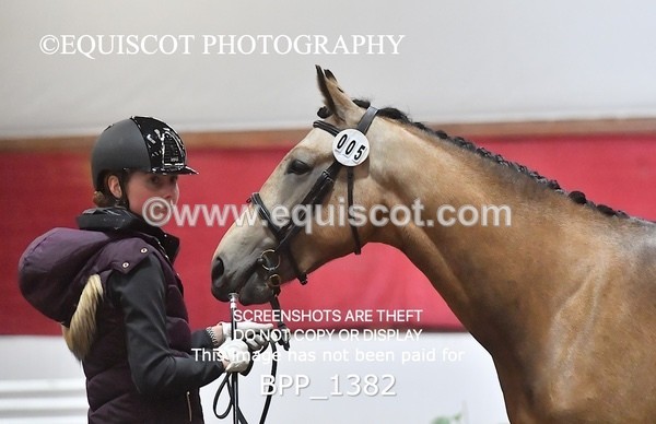 BPP_1382 - MORNING 9AM - 12PM