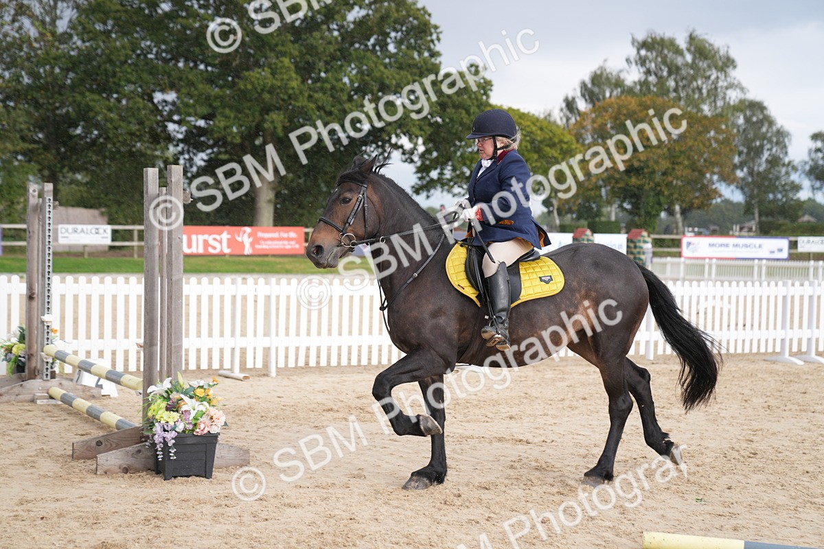 SBM_10425 - J37 Veteran 75cm Championship