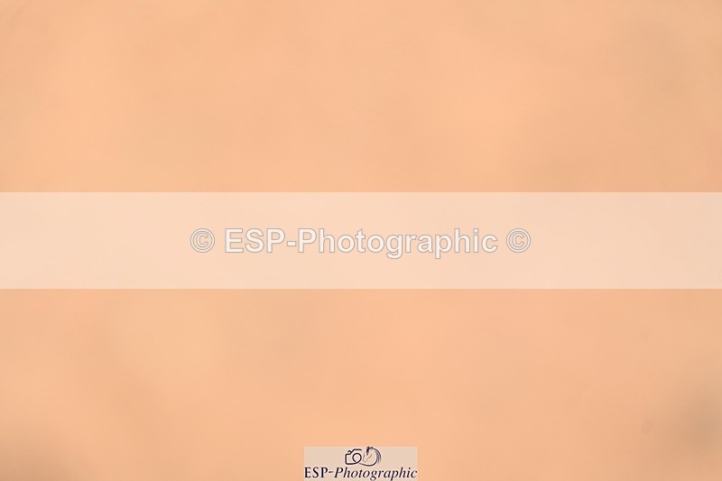260426-140618-19752 - Cls 36, 1 Star 7 Year Old Final