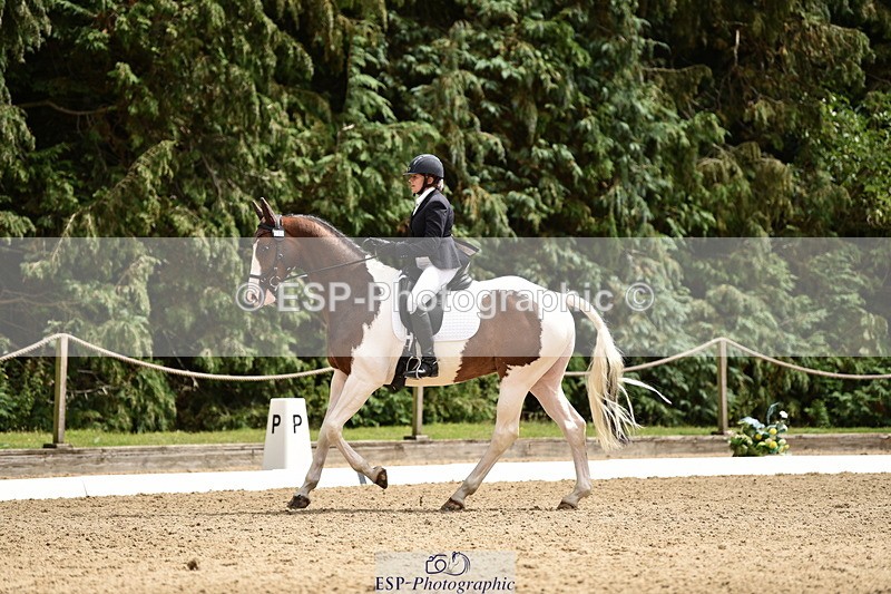 140110A-031034-11185 - 070-Deborah.Randall-Kindred.Spirit