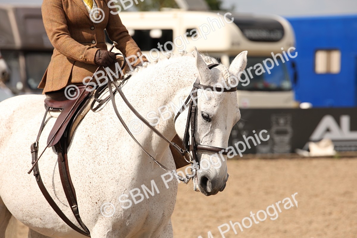 SBM_06749 - Class 24 Concours d'elegance