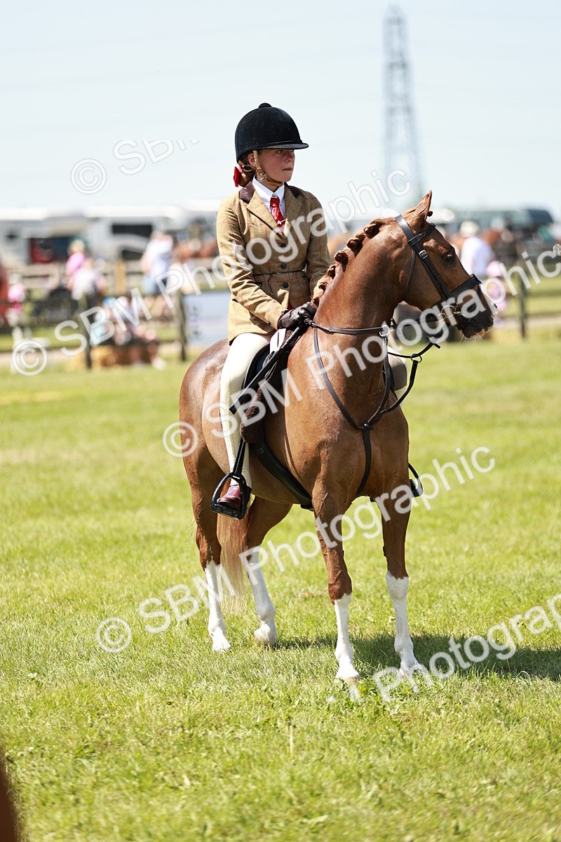 SBM_15738 - Class 108-109 - BSPS LIHS Open Gradle & Nursery Stakes