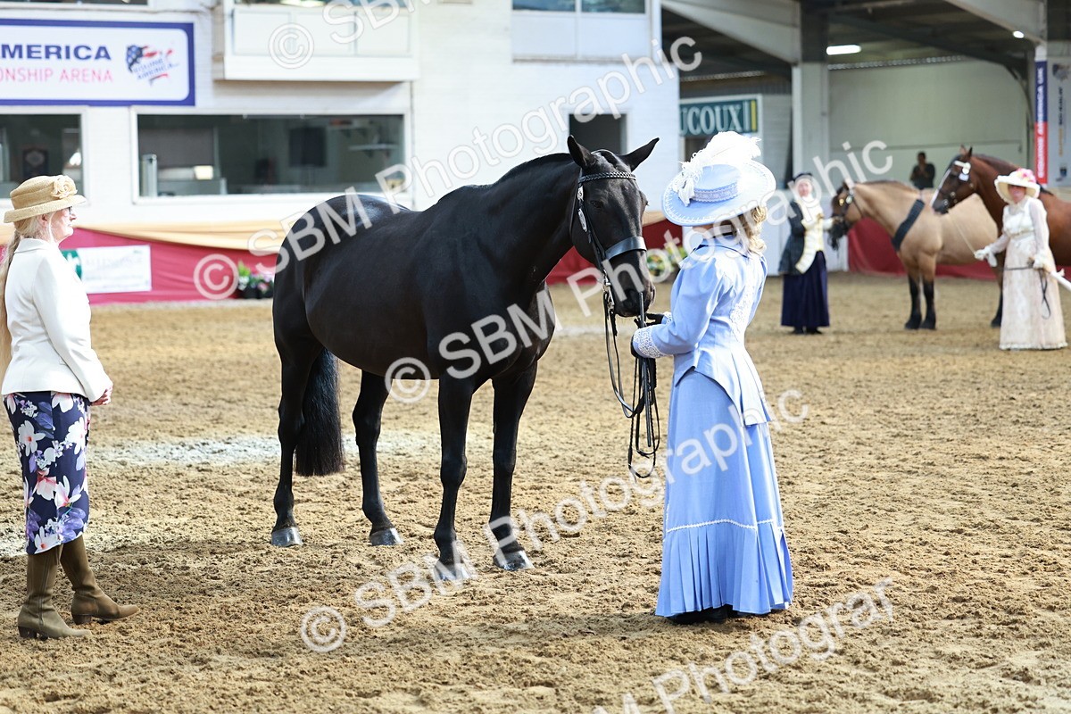 SBM_12097 - Class 103 - IH Costume