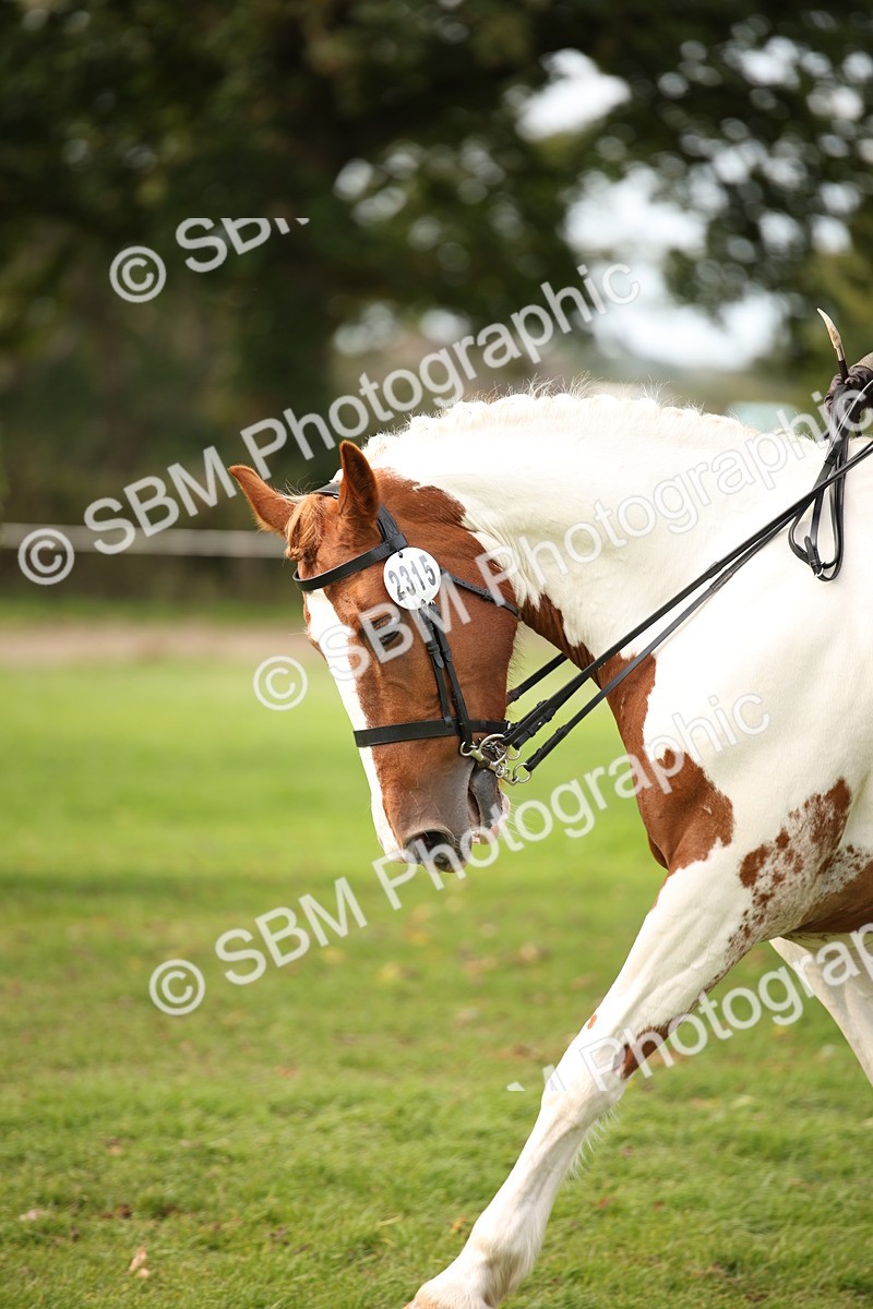 SBM_70417 - S66 - Hunter Ridden