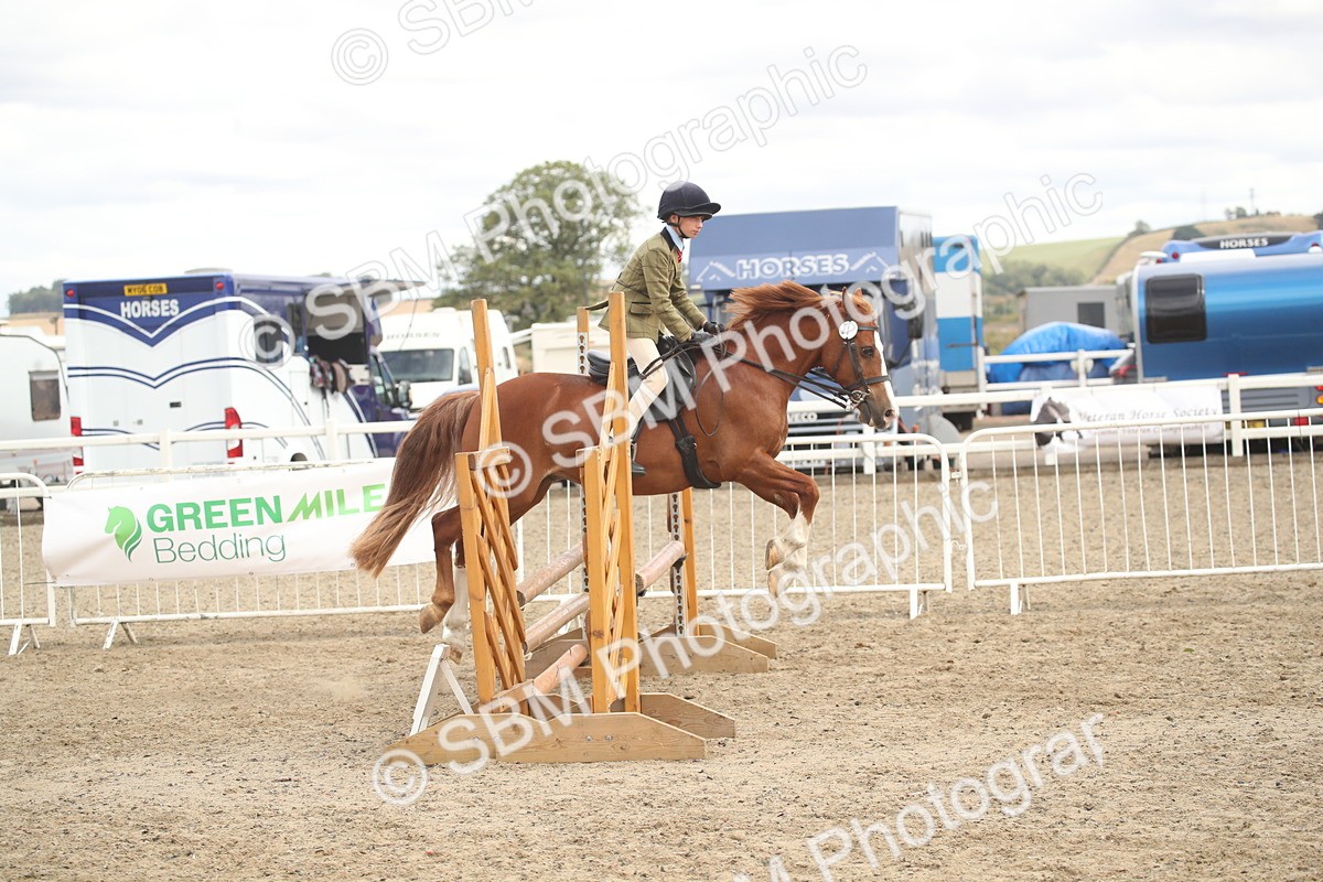 SBM_17887 - Class 508b - Working Veteran 70cm (20+)