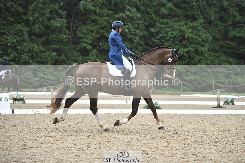 240720-143207-05675 - 142-Amberley_Pugsley-Hero_A