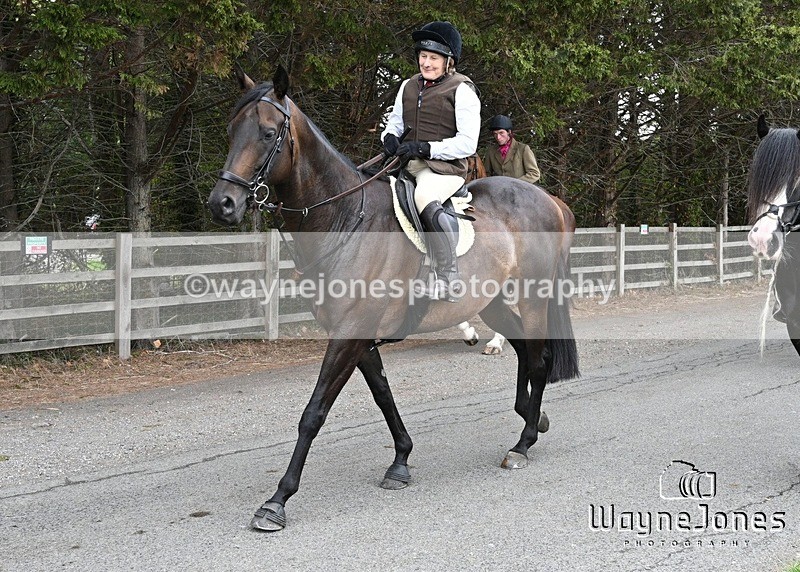 WJ7_1315 - Berks & Bucks Hound Exercise Blewbury 13-09-26