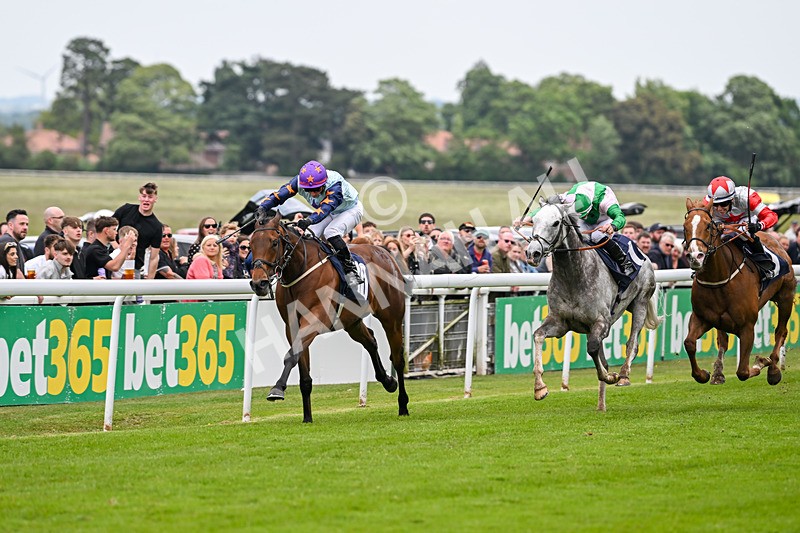 240525-Race 5-Mysteryofthesands-1539 - Race 5