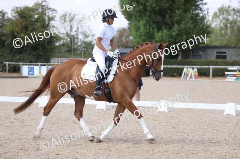 20260815-0970 - Class 5 - Novice 1