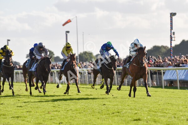 yr08102022r5-42 - Race 5 3.50pm The Coral Committed To Safer Gambling EBFStallions.com Maiden Stakes