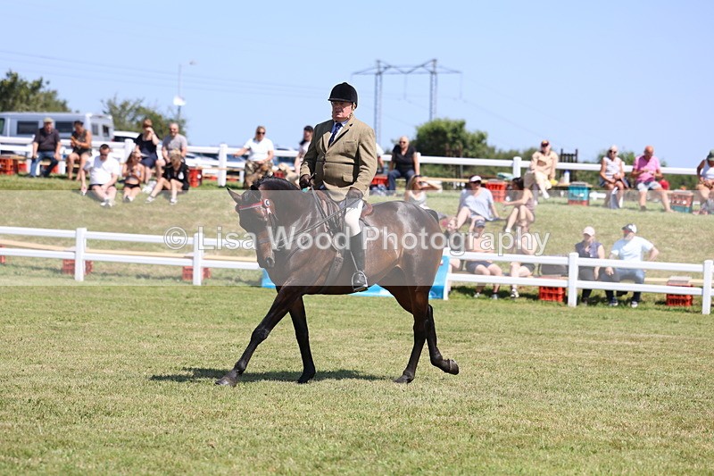 3E7A7713 - Class 7: Open Riding Horse