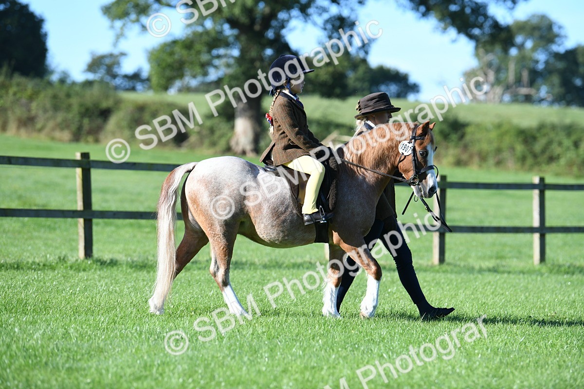 SBM_35281 - S17 - Condition & Turnout - Lead Rein
