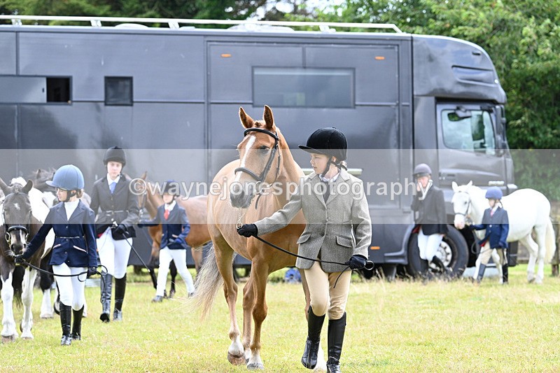 WJ7_6548 - Class 5 Handsome Gelding in hand