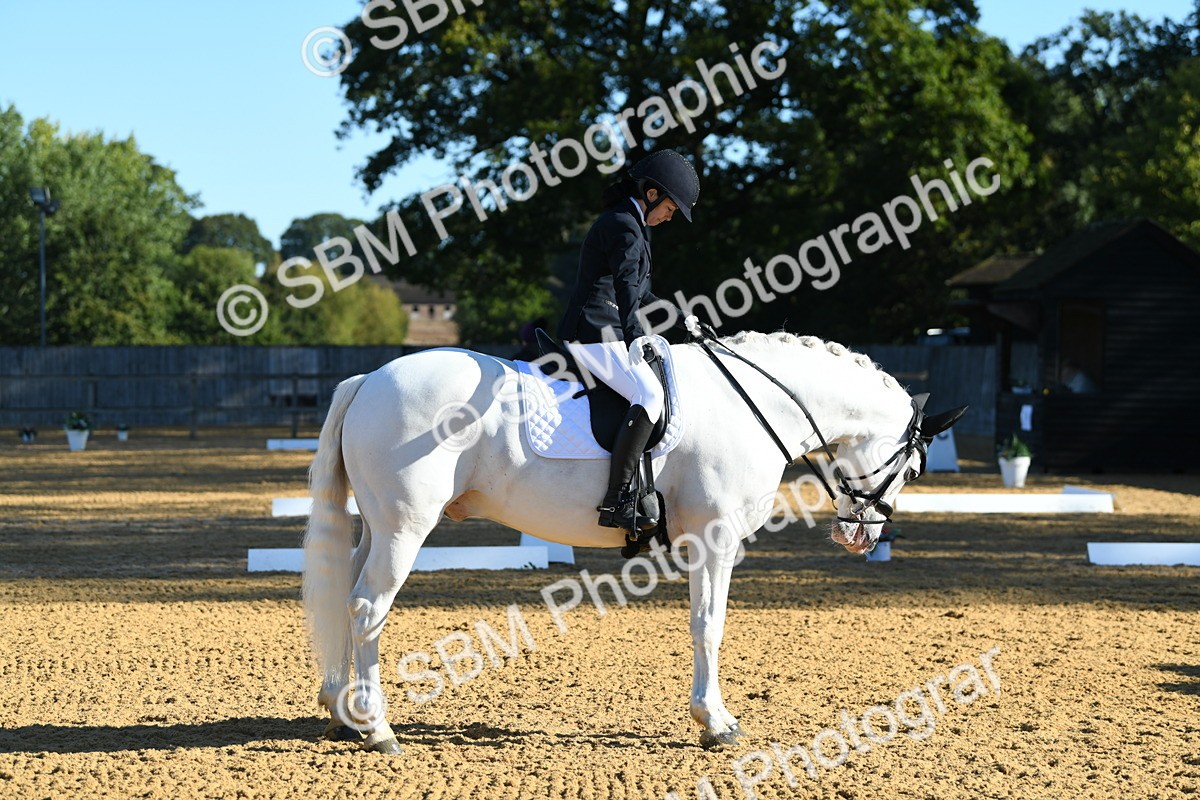 SBM_16134 - D4 - Small Tour Championship - Intro B
